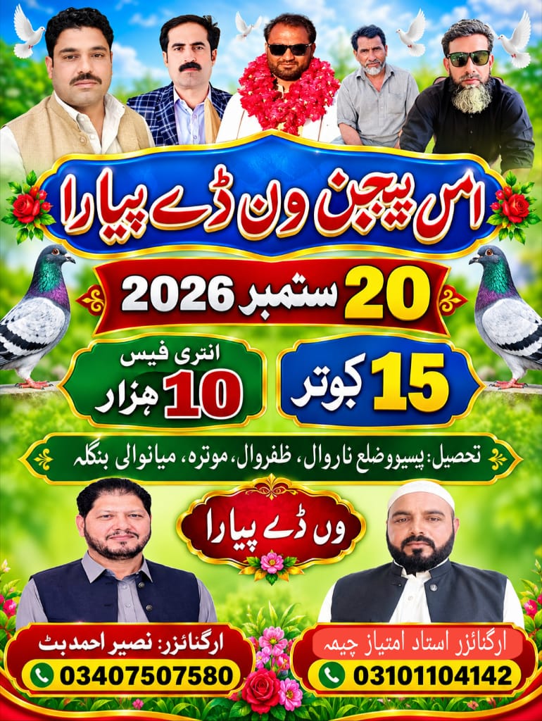 امن پیجن ون ڈے پیارا 20 ستمبر (11 کبوتر ) (